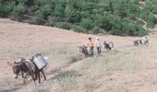 Yardımlıda su 2 km-dən eşşəklərlə daşınır