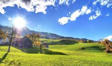Sabah isti hava şəraiti davam edəcək: 41 dərəcə isti olacaq