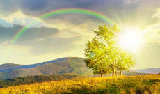 Sabah Azərbaycan ərazisində isti havalar davam edəcək: 42-44 dərəcə isti olacaq