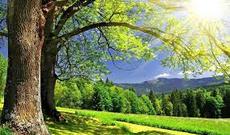 Sabahın hava proqnozu açıqlandı: 35-38 dərəcə isti