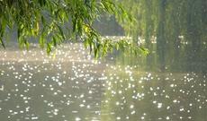 Sabahın hava proqnozu: Şimşək çaxacaq, yağış yağacaq