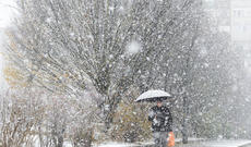Sabah Güclü külək əsəcək, bəzi ərazilərdə sulu qar, dağlıq rayonlarda qar yağacaq