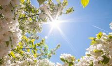 Aprel ayına olan hava proqnozu açıqlandı Temperatur iqlim normasına yaxın olacaq