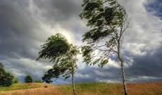 Sabahın hava proqnozu açıqlanıb: Güclü külək əsəcək, bəzi yerlərdə yağış yağacaq