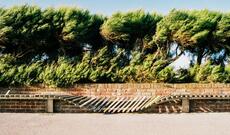 Güclü külək nə vaxt zəifləyəcək?