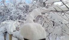 Azərbaycanda qarın hündürlüyü 20 santimetrə çatıb - FAKTİKİ HAVA