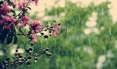 Sabah 27 dərəcə isti olacaq, dağlıq ərazilərə yağış yağacaq