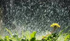 Sabah Azərbaycanən bəzi ərazilərinə yağış yağacaq