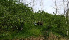 Körpəsini fındıq bağında basdırdı