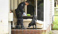 3 qonağın ölümünə səbəb olan şam yeməyini hazırlayan qadın həbs edilib