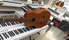 Binəqədi rayonu ərazisində yerləşən musiqi alətləri mağazasından oğurluğa cəhd göstərməkdə şübhəli bilinən şəxs saxlanılıb