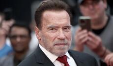 Şvartseneqqer məhkəməyə verildi