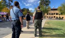 Stenford universitetinin tələbəsini maşın vurub və qaçıb