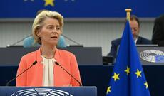 Gürcüstan Avropa İttifaqının tövsiyəsini alqışlayır