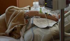 Bakıda gəlin qayınanasını döyüb