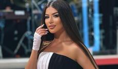 Müğənninin avtomobilindən pul oğurlayana bu cəza verildi