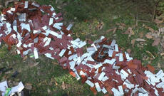 Bakıya 10 min ədəd metadon həbi gətirən şəxslər həbs edilib