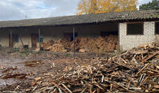 Təbiəti mühafizə və meşə qanunvericiliyinin pozulması hallarının qarşısının alınması istiqamətində tədbirlər davam etdirilir