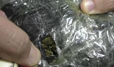 Masallıda əməliyyat - Saxlanılanlar var