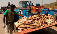 9,9 milyardlıq qaçaqmalçılıq