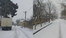 Salyanda qar fəsadlar törədib, 20-yə yaxın kənd işıqsız qalıb