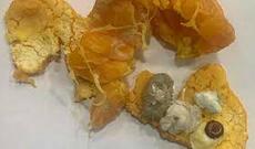 Mandarinin içində narkotik keçirilməsinin qarşısı alındı