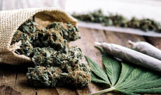 Cəlilabadda avtomobildən 11 kilodan çox narkotik tapıldı