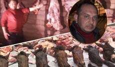 Polis at və ulaq cəsədlərindən ət tədarükü ilə məşğul olan şəxsi saxlayıb