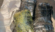 Bakıda yaşayış binasının zirzəmisində 8 kq-dan artıq narkotik vasitə aşkarlanıb