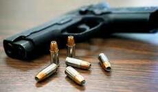 Ötən gün vətəndaşlardan götürülən silah-sursatın sayı açıqlanıb