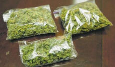 Ümumi çəkisi 5,8 kiloqrama yaxın narkotik vasitə aşkar olunub