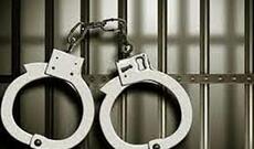 Zərdabda oğurluq edən üç nəfər saxlanılıb