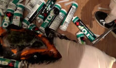 Ölkəyə silikon qablarda gətirilən narkotik vasitələrin dövriyyəsinin qarşısı alınıb