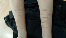 Sığınacağdakı azyaşlı qız: “Anam məni bir kişiyə verdi və...”