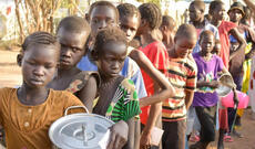 Sudanda kütləvi aclıq təhlükəsi mövcuddur