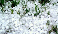 Qaxa güclü dolu düşüb, meyvə ağaclarına və təsərrüfatlara ziyan dəyib