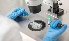 Təhlükə böyüyür: “Bu, gələcəkdə bacı-qardaş evliliyinə səbəb olacaq”