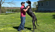 Dünyanın ən hündür iti öldü