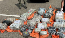 DİN və DSX birgə əməliyyat keçirib, 180 kiloqram narkotik vasitə dövriyyədən çıxarılıb