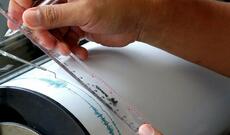 Yeni Zelandiyada 5,2 maqnitudada zəlzələ baş verib