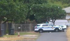 Ötən gün ərzində ölkə ərazisində qeydə alınan 32 cinayətin açılması təmin olunub