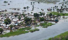 Cənubi Sudanda daşqınlar 710 mindən çox insana təsir edib