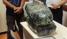 Mehdiabad qəsəbəsində axtarışda olan 14 nəfər saxlanılıb - VİDEO