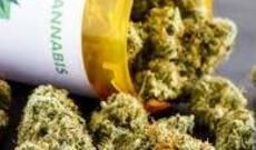 Kannabis  dərmanı satan ilk aptek Ukraynada qeydə alınıb