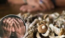 Avstriyalı kişi göbələk yedikdən sonra cinsiyyət orqanını kəsib