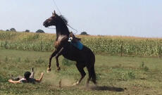 Gədəbəy sakini atdan yıxılaraq ölüb