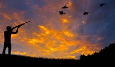 Şabranda qanunsuz ov edən şəxslər saxlanılıblar