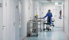 Zaqatalada bıçaqlanma: Bədəməl tutuldu