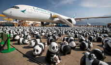Hava limanında panda heykəlləri