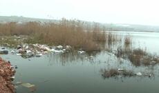 Abşeronda gölün səviyyəsi artıb: Həyətləri su basdı - Video